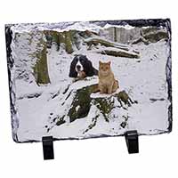 Cocker Spaniel and Cat Snow Scene, Stunning Photo Slate