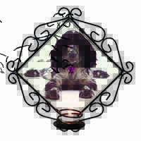 Cocker Spaniel Dog Breed Gift Wrought Iron Wall Art Candle Holder
