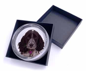Cocker Spaniel Dog Breed Gift Glass Paperweight in Gift Box