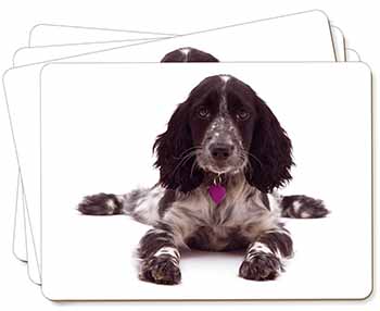 Cocker Spaniel Dog Breed Gift Picture Placemats in Gift Box