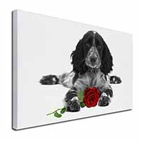 Cocker Spaniel (B+W) with Red Rose X-Large 30"x20" Canvas Wall Art Print