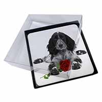 4x Cocker Spaniel (B+W) with Red Rose Picture Table Coasters Set in Gift Box