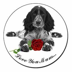 Cocker Spaniel+Rose 