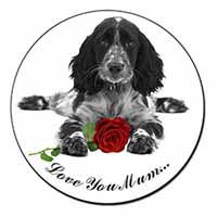 Cocker Spaniel+Rose 