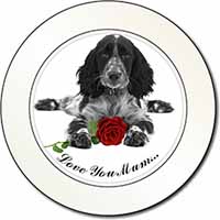 Cocker Spaniel+Rose 