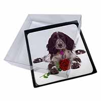 4x Blue Roan Cocker Spaniel with Rose Picture Table Coasters Set in Gift Box