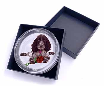 Blue Roan Cocker Spaniel with Rose Glass Paperweight in Gift Box