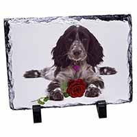 Blue Roan Cocker Spaniel with Rose, Stunning Photo Slate