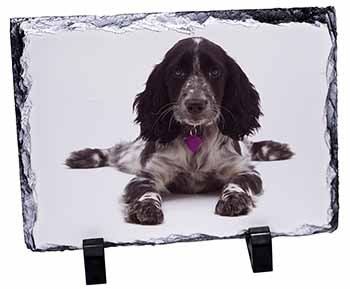 Cocker Spaniel Dog Breed Gift, Stunning Photo Slate