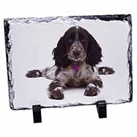 Cocker Spaniel Dog Breed Gift, Stunning Photo Slate