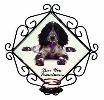 Cocker Spaniel 