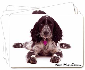 Roan Cocker Spaniel 