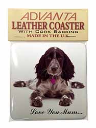 Roan Cocker Spaniel 