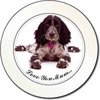 Roan Cocker Spaniel 