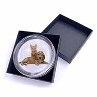 Cocker Spaniel and Kitten Love Glass Paperweight in Gift Box