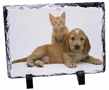 Cocker Spaniel and Kitten Love, Stunning Photo Slate