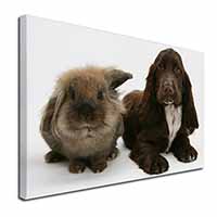 Cute Cocker Spaniel Dog and Rabbit Canvas X-Large 30"x20" Wall Art Print