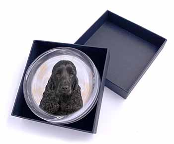 Black Cocker Spaniel Dog Glass Paperweight in Gift Box