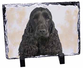 Black Cocker Spaniel Dog, Stunning Photo Slate