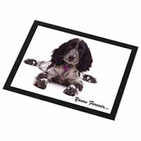 Blue Roan Cocker Spaniel 