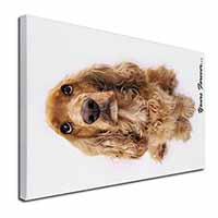 Cocker Spaniel Dog 