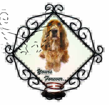 Cocker Spaniel Dog 