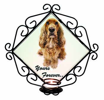 Cocker Spaniel Dog 