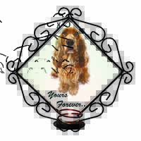 Cocker Spaniel Dog 