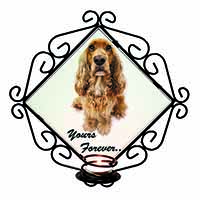 Cocker Spaniel Dog 