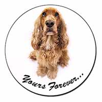 Cocker Spaniel Dog 