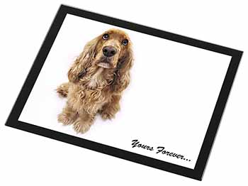 Cocker Spaniel Dog 