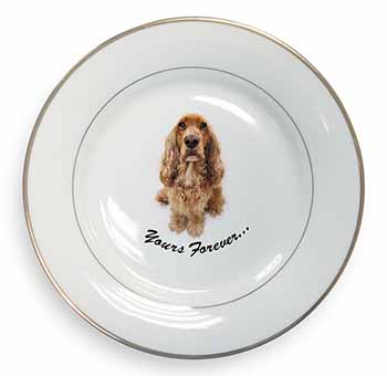 Cocker Spaniel Dog 