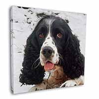 Blue Roan (Black+White) Cocker Spaniel Square Canvas 12"x12" Wall Art Picture Pr