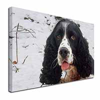 Blue Roan (Black+White) Cocker Spaniel Canvas X-Large 30"x20" Wall Art Print