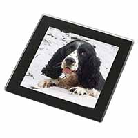 Blue Roan (Black+White) Cocker Spaniel Black Rim High Quality Glass Coaster