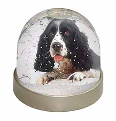 Blue Roan (Black+White) Cocker Spaniel Snow Globe Photo Waterball