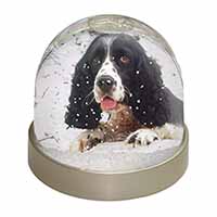 Blue Roan (Black+White) Cocker Spaniel Snow Globe Photo Waterball