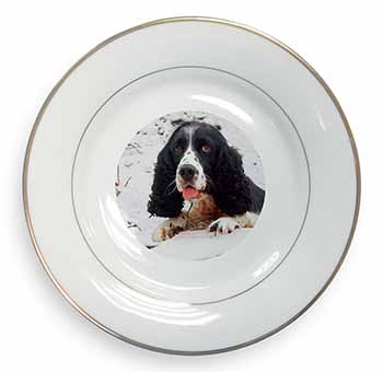 Blue Roan (Black+White) Cocker Spaniel Gold Rim Plate Printed Full Colour in Gif