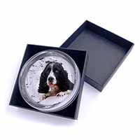 Blue Roan (Black+White) Cocker Spaniel Glass Paperweight in Gift Box