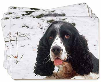 Blue Roan (Black+White) Cocker Spaniel Picture Placemats in Gift Box