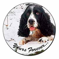 Cocker Spaniel in Snow 