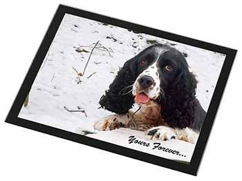 Cocker Spaniel in Snow 