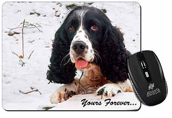 Cocker Spaniel in Snow 