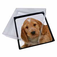 4x Cocker Spaniel Picture Table Coasters Set in Gift Box