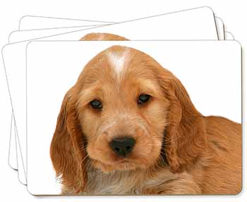 Cocker Spaniel Picture Placemats in Gift Box