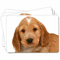 Cocker Spaniel Picture Placemats in Gift Box
