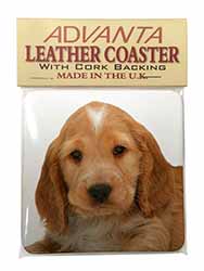 Cocker Spaniel Single Leather Photo Coaster