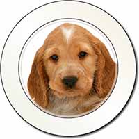 Cocker Spaniel Car or Van Permit Holder/Tax Disc Holder