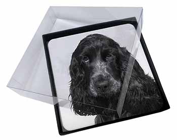 4x Blue Roan Cocker Spaniels Picture Table Coasters Set in Gift Box