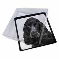 4x Blue Roan Cocker Spaniels Picture Table Coasters Set in Gift Box